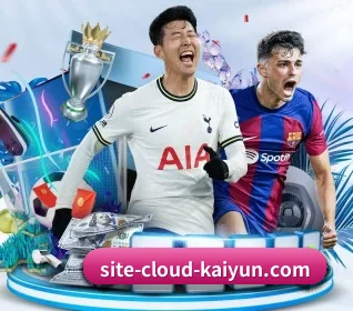 五大服务分区,信息按项目分类 | kaiyun.com